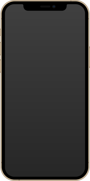 Apple iPhone 12 Pro